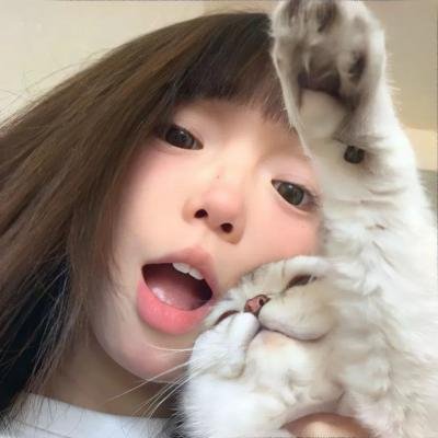 仓鼠管家